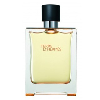 Hermes Terre D'Hermes woda toaletowa spray 100ml - produkt bez opakowania