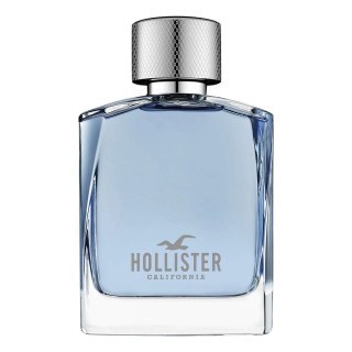 Hollister Wave For Him woda toaletowa spray 100ml