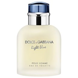 Light Blue Pour Homme woda toaletowa spray 40ml Dolce & Gabbana