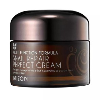 Multi Function Formula Snail Repair Perfect Cream regenerujący krem ze śluzem ślimaka 50ml Mizon