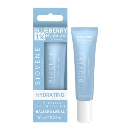 Blueberry Lip Boost Treatment nawilżające serum do ust z 1% kwasu hialuronowego 10ml Biovene