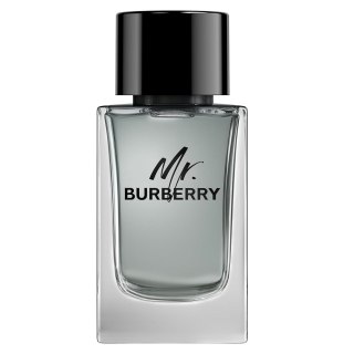 Burberry Mr. Burberry woda toaletowa spray 150ml