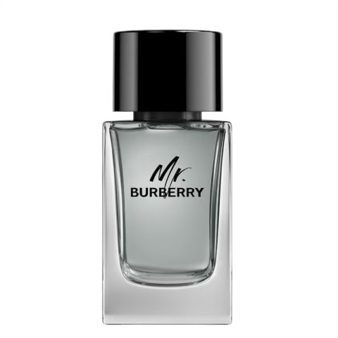Burberry Mr. Burberry woda toaletowa spray 100ml - produkt bez opakowania Burberry Mr. Burberry woda toaletowa spray 100ml - produkt bez opakowania