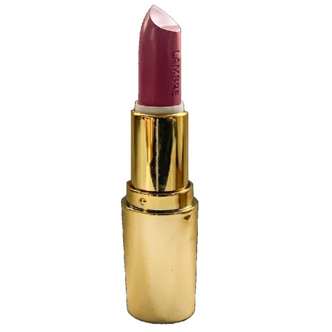 Lambre Exclusive Colour Lipstick pomadka do ust 02 Dusky Berry 4g