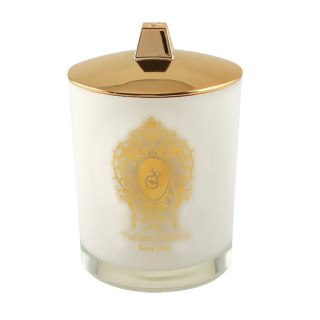 Tiziana Terenzi Delox świeca zapachowa 170g