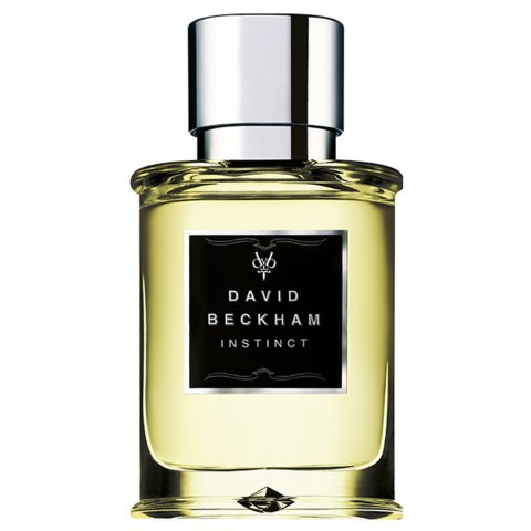 David Beckham Instinct Men woda toaletowa spray 75ml