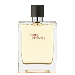 Hermes Terre D'Hermes woda toaletowa spray 200ml