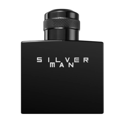 Jeanne Arthes Silver Man woda toaletowa spray 100ml