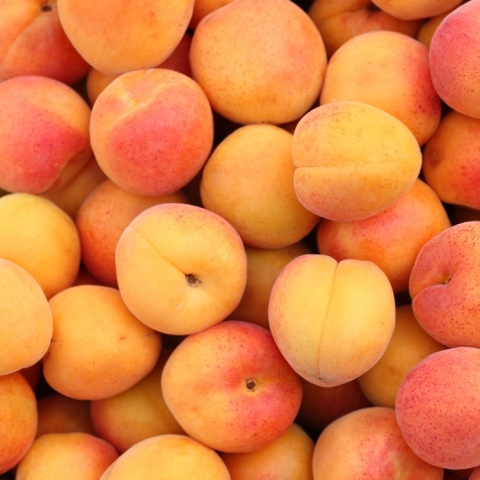 Proximus Nourishing Szampon Nawilżający do Włosów Suchych 1L