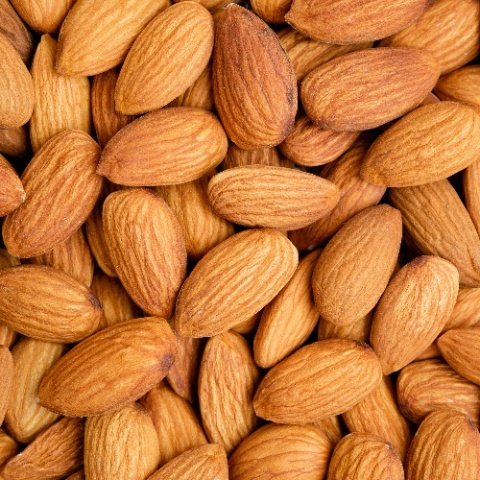 Proximus Nourishing Szampon Nawilżający do Włosów Suchych 1L