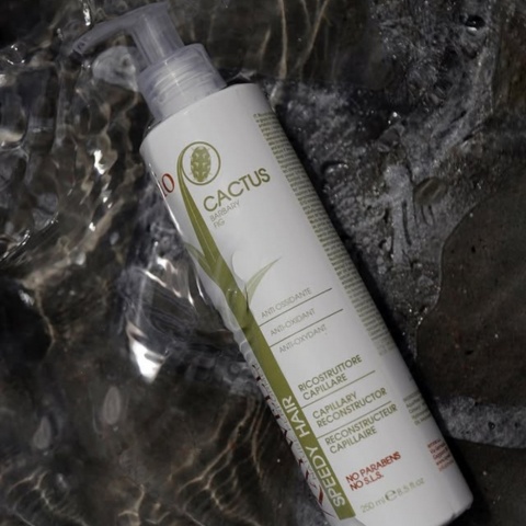 Raywell Bio Cactus Speedy Reconstructor Fluid Do Włosów z Olejkiem z Opuncji Figowej 250ml