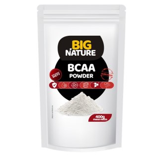 Big Nature BCAA 2:1:1 aminokwasy suplement diety 400g
