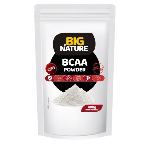 Big Nature BCAA 2:1:1 aminokwasy suplement diety 400g