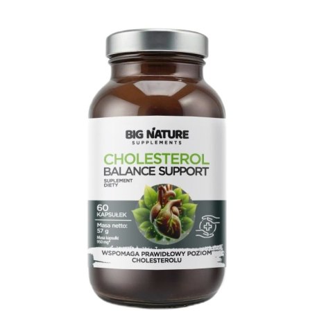 Big Nature Cholesterol Balance Support suplement diety 60 kapsułek