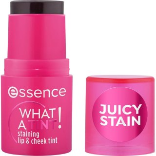 Essence What A Tint! tint do ust i policzków 10 Raspberry Vibes 5g