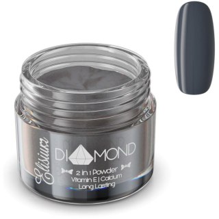 Elisium Diamond 2in1 Powder proszek do manicure tytanowego DS308 Black Friday 23g