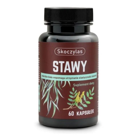 Skoczylas Stawy suplement diety 60 kapsułek