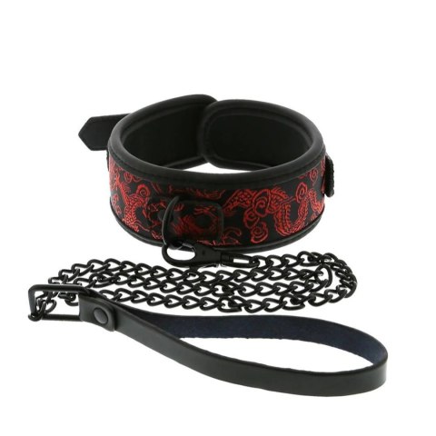 Dream Toys Blaze Deluxe Collar & Leash obroża ze smyczą