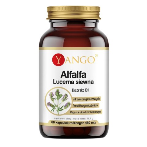 Yango Alfalfa lucerna siewna suplement diety 60 kapsułek