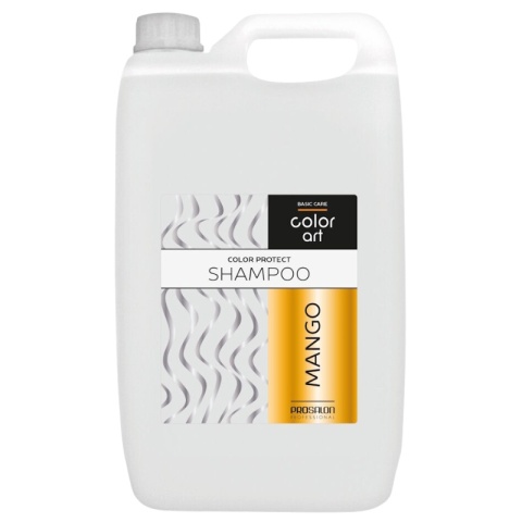 Chantal Prosalon Color Art szampon do włosów chroniący kolor 5L