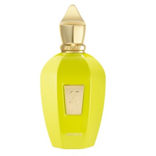 Xerjoff Amabile woda perfumowana spray 100ml - produkt bez opakowania