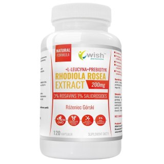WISH Pharmaceutical Rhodiola Rosea Extract 200mg + L-Leucyna + Prebiotyk suplement diety 120 kapsułek