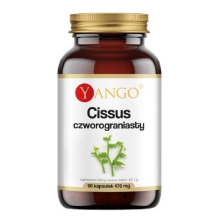 Yango Cissus czworograniasty suplement diety 90 kapsułek