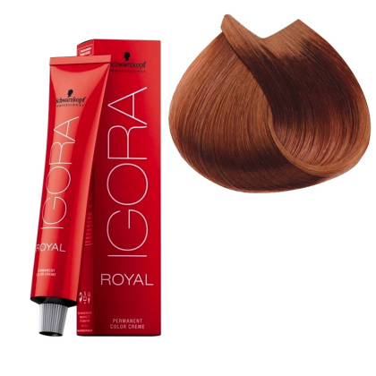 Schwarzkopf Igora Royal, profesjonalna farba do włosów 6-80 60ml