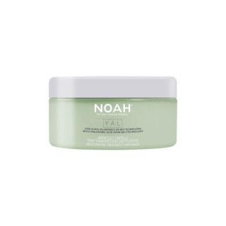 Noah Yal Restorative Treatment Hair Mask With Hyaluronic Acid odbudowująca maska do włosów z kwasem hialuronowym 200ml