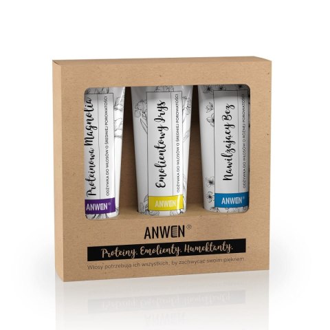 Anwen Odżywki do włosów o średniej porowatości Proteinowa Zielona Herbata 100ml + Emolientowy Irys 100ml + Nawilżający Bez 100ml Anwen Odżywki do włosów o średniej porowatości Proteinowa Zielona Herbata 100ml + Emolientowy Irys 100ml + Nawilżający Bez 100ml