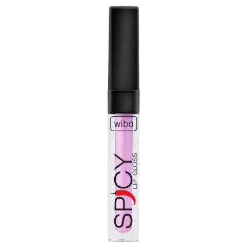 Wibo Spicy Lip Gloss błyszczyk do ust 19 3ml