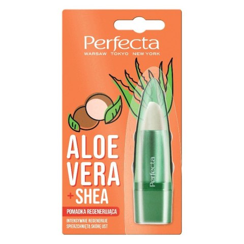 Perfecta Aloe Vera regenerująca pomadka do ust z aloesem i masłem shea 5g