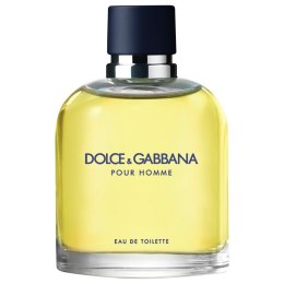 Pour Homme woda toaletowa spray 125ml Dolce & Gabbana