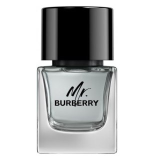 Burberry Mr. Burberry woda toaletowa spray 50ml