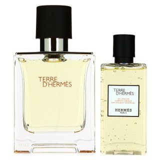 Hermes Terre D'Hermes zestaw woda toaletowa spray 100ml + żel pod prysznic 80ml