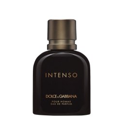 Intenso Pour Homme woda perfumowana spray 40ml Dolce & Gabbana