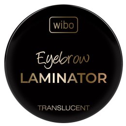 Translucent Eyebrow Laminator transparentne mydło do stylizacji brwi 4.2g Wibo