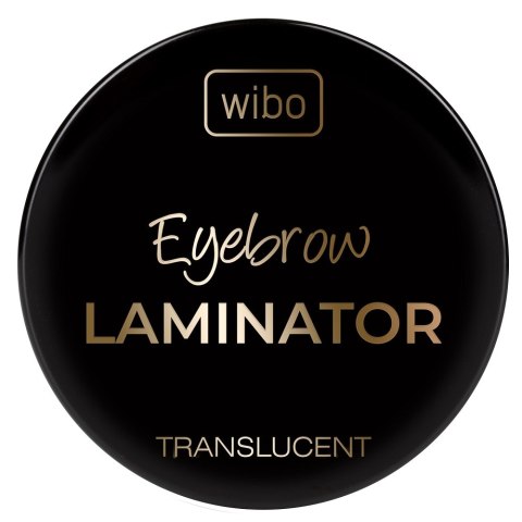 Translucent Eyebrow Laminator transparentne mydło do stylizacji brwi 4.2g Wibo