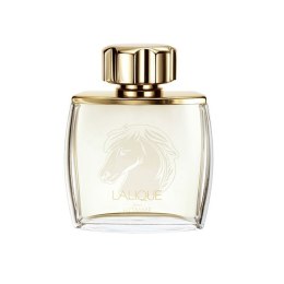Pour Homme Equus woda perfumowana spray 75ml Lalique